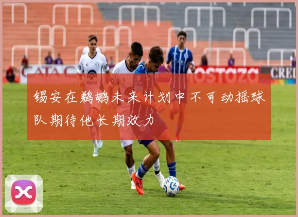 锡安在鹈鹕未来计划中不可动摇球队期待他长期效力